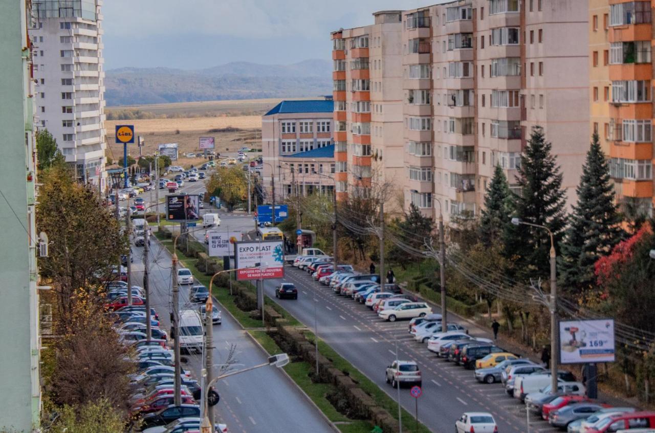 Butterfly Apartment Σίμπιου Εξωτερικό φωτογραφία